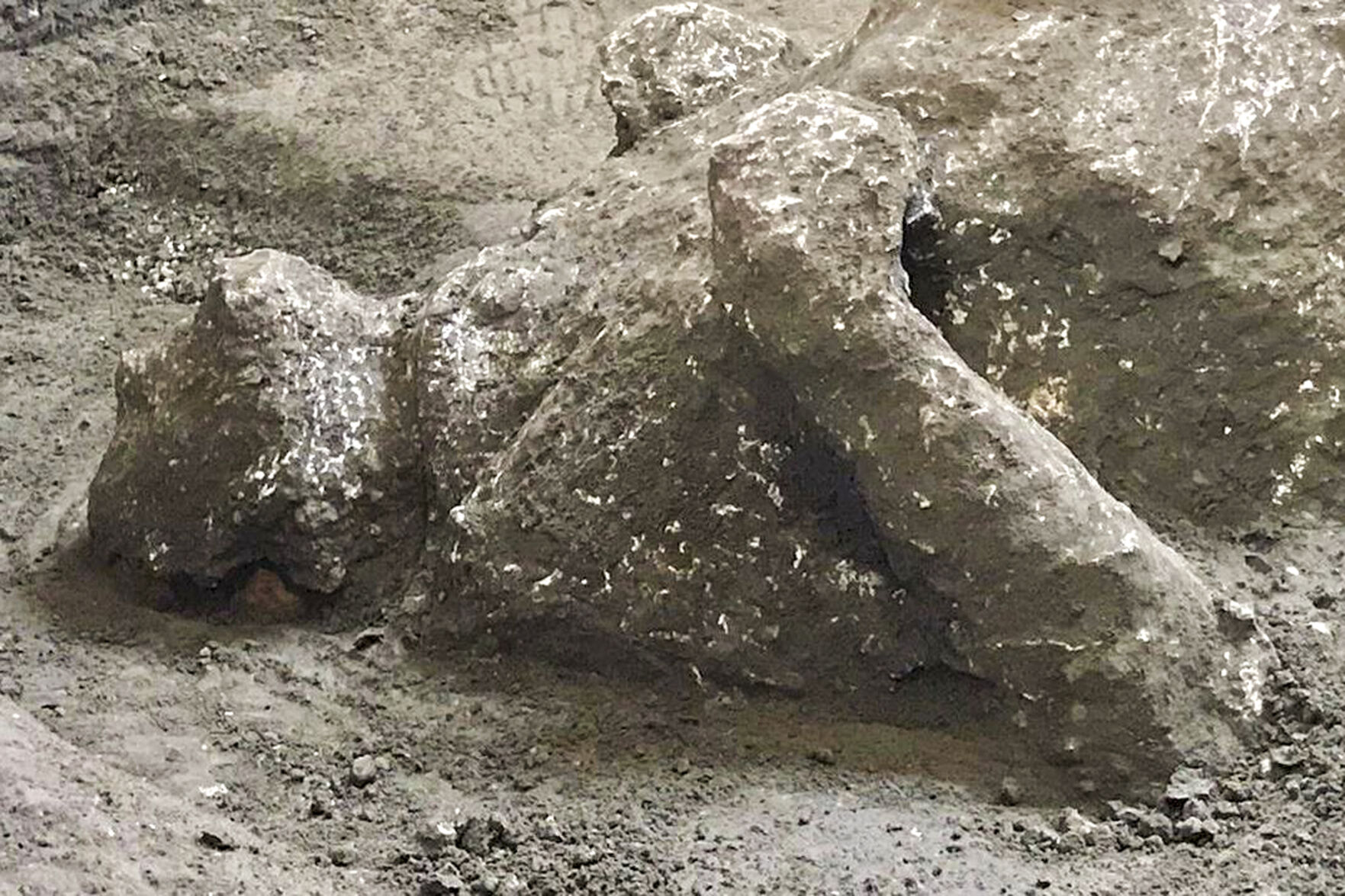 Italy Pompeii Ancient Bodies